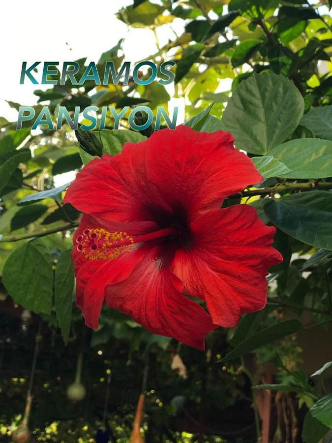 Keramos Pansiyon 菲尼克 外观 照片
